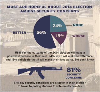 2013 Survey Infographic